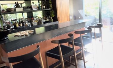 PENTHOUSE EN VENTA EN POLANCO OPORTUNIDAD.