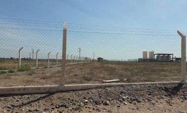 Alquilo una hectárea en Parque Industrial Centenario