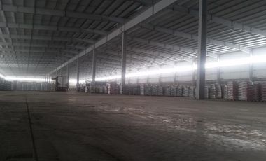 Alquiler Depósito  General Pacheco Tigre