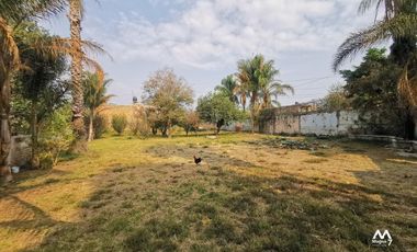 TERRENO EN RENTA  EN TESISTAN Col. El Álamo