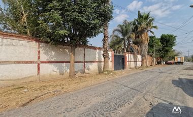 TERRENO EN RENTA  EN TESISTAN Col. El Álamo
