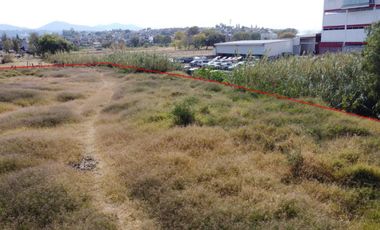 Terreno en renta en Morelia, Av. División del Norte