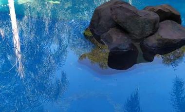 COMPLEJO TURISTICO EN LA SELVA MISIONERA A POCOS MINUTOS DE LA CIUDAD DE OBERÁ