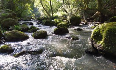 COMPLEJO TURISTICO EN LA SELVA MISIONERA A POCOS MINUTOS DE LA CIUDAD DE OBERÁ