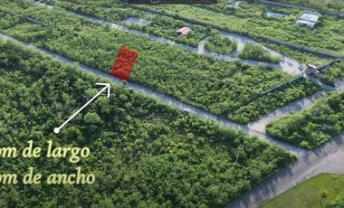 Video| Terreno frente a Aldea Conkal al norte de Mérida