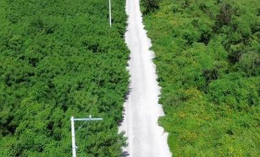 Video| Terreno frente a Aldea Conkal al norte de Mérida