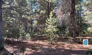 LOTE 2800 m2 CANCHA DE POLO  Loteo EL DESAFIO - San Martin de los Andes