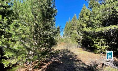 LOTE 2800 m2 CANCHA DE POLO  Loteo EL DESAFIO - San Martin de los Andes
