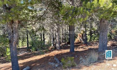 LOTE 2800 m2 CANCHA DE POLO  Loteo EL DESAFIO - San Martin de los Andes