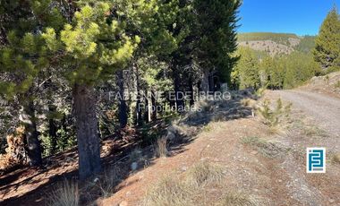 LOTE 2800 m2 CANCHA DE POLO  Loteo EL DESAFIO - San Martin de los Andes