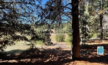 LOTE 2800 m2 CANCHA DE POLO  Loteo EL DESAFIO - San Martin de los Andes