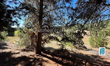 LOTE 2800 m2 CANCHA DE POLO  Loteo EL DESAFIO - San Martin de los Andes