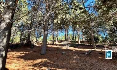 LOTE 2800 m2 CANCHA DE POLO  Loteo EL DESAFIO - San Martin de los Andes
