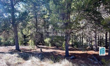 LOTE 2800 m2 CANCHA DE POLO  Loteo EL DESAFIO - San Martin de los Andes
