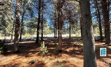 LOTE 2800 m2 CANCHA DE POLO  Loteo EL DESAFIO - San Martin de los Andes