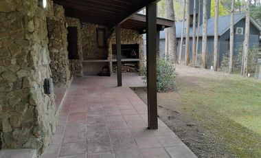 Cod 673 Jacarandá y Avestruz