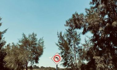 PINARES DEL SUR - Terrenos
