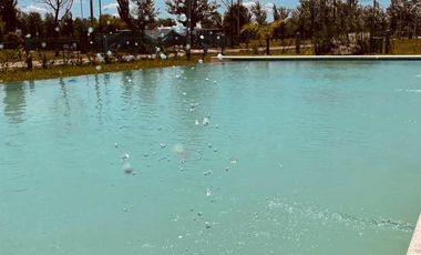 PINARES DEL SUR - Terrenos