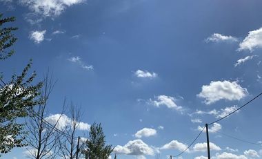 PINARES DEL SUR - Terrenos