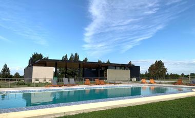 PINARES DEL SUR - Terrenos
