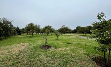Cabañas Altavista - San Javier con escritura!