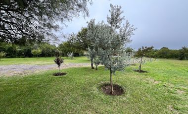 Cabañas Altavista - San Javier con escritura!