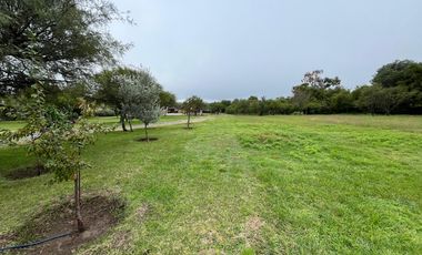 Cabañas Altavista - San Javier con escritura!