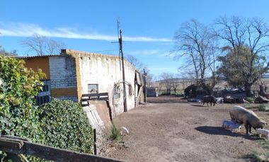 Terreno en venta - 88.471Mts2 - El Pampero, Lobería