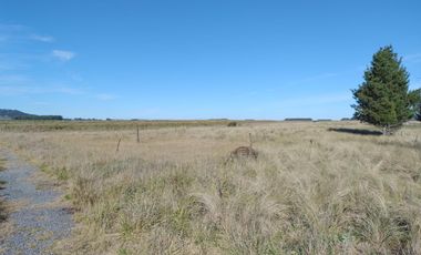 Terreno en venta - 88.471Mts2 - El Pampero, Lobería
