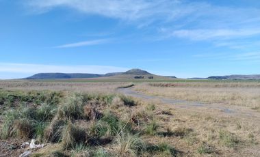 Terreno en venta - 88.471Mts2 - El Pampero, Lobería