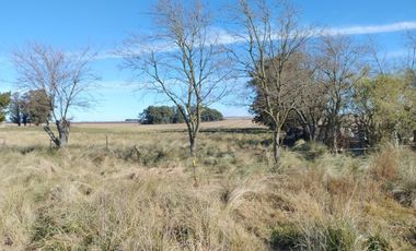 Terreno en venta - 88.471Mts2 - El Pampero, Lobería