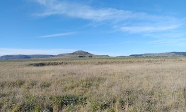 Terreno en venta - 88.471Mts2 - El Pampero, Lobería