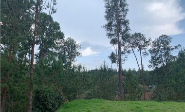 VENTA DE LOTE EN EL RETIRO