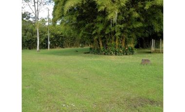 Venta Lote Industrial Guarne