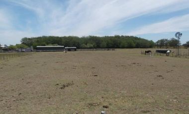 CAMPO AGRICOLA 480 HECTAREAS CASCO DE EPOCA