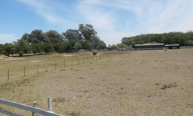 CAMPO AGRICOLA 480 HECTAREAS CASCO DE EPOCA
