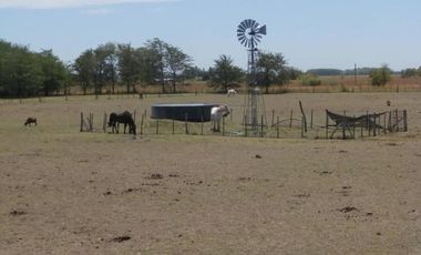 CAMPO AGRICOLA 480 HECTAREAS CASCO DE EPOCA