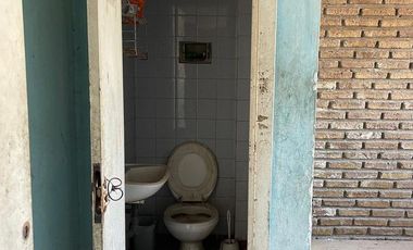Galpón - Tigre