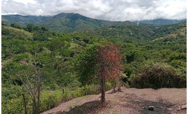 Lote en San Jerónimo , en venta.