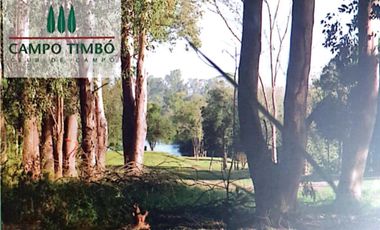 Lote 1000m2 Campo Timbó