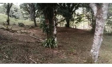 VENDO 2 LOTES ALTOS DEL MARA SECTOR SANTIAGO APÓSTOL 1225M2. $35M2 cv