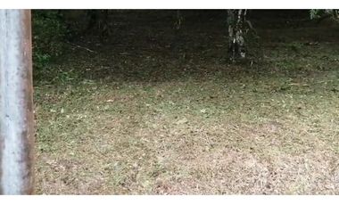 VENDO 2 LOTES ALTOS DEL MARA SECTOR SANTIAGO APÓSTOL 1225M2. $35M2 cv