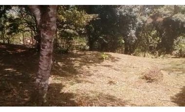 VENDO 2 LOTES ALTOS DEL MARA SECTOR SANTIAGO APÓSTOL 1225M2. $35M2 cv