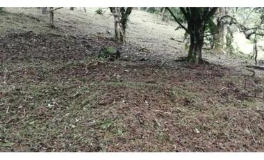 VENDO 2 LOTES ALTOS DEL MARA SECTOR SANTIAGO APÓSTOL 1225M2. $35M2 cv