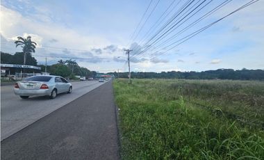 Se venden lotes comerciales en Interamericana, La Chorrera