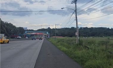 Se venden lotes comerciales en Interamericana, La Chorrera