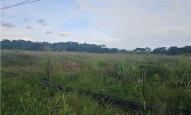 Se venden lotes comerciales en Interamericana, La Chorrera