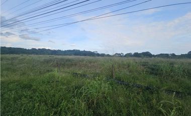 Se venden lotes comerciales en Interamericana, La Chorrera