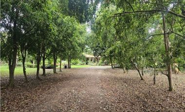 Se vende finca comercial en Penonomé de 1.4 has.