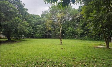 Se vende finca comercial en Penonomé de 1.4 has.